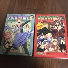FAIRY TAIL 特装版 9冊セット 35.55巻新品未開封 2025年最新】fairy tail 59 特装版の人気アイテム - メルカリ