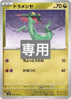 専用