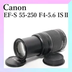 Item thumbnail for item a8cf045e-452f-488e-9fbd-b555e7209ad6