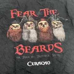 Fear The Beardsパイレーツ ギルダン 半袖Tシャツ ブラック L
