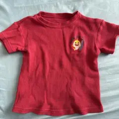 ベイビーシャークTシャツ 100