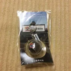 【未開封】甲子園の土 95周年 非売品