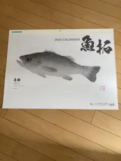 2023シマノ魚拓カレンダー(店舗名ナシ)1個
