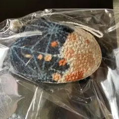 貝のストラップ3個