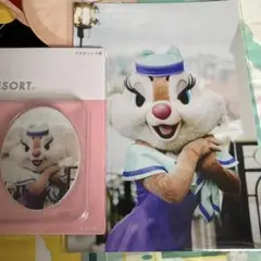 イマジニングザマジック マグネット 写真 第2弾 クラリス セット