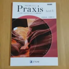 Praxis Level 1 解答・解説付き Z-KAI