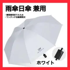 Item thumbnail for item d51f720f-e9a7-4751-a099-46c1a4067c10