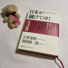 ❤️日本が融けてゆく