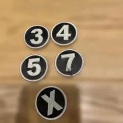 Item thumbnail for item d409f37e-5fe8-4916-a4cc-915b086a5619