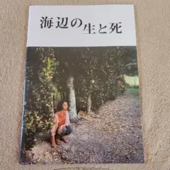 海辺の生と死 パンフレット