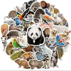 動物園　リアル動物　シール　ステッカー　50種類