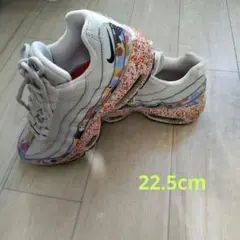ナイキエアマックス95(22·5cm)