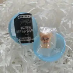 【新品未開封】StrayKids SKZOO めじるしアクセサリー PuppyM