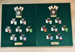 2002 FIFAワールドカップ 歴代優勝国 ピンバッジ 2セット 額装なし