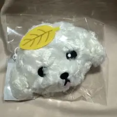 東方神起 チャンミン ポッチポーチ