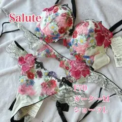 Salute BTJ460ブラジャーショーツセット F70 バラ売り可