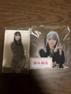 Item thumbnail for item 73105c93-9cd5-49b4-a6c7-2e12d1a1080c