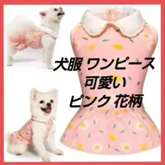 Item thumbnail for item 967f54e9-c4f3-4f5f-ba0c-3e363cebd5da