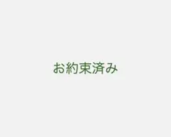 ナプラ N. カラーシャンプー/トリートメント シャンプーピンク