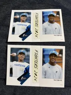 ファイターズ ミニフォトシークレット インスタント写真風コレクション 万波中正