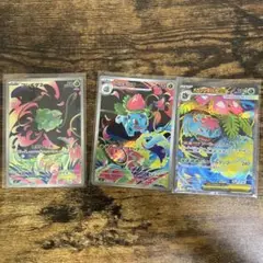 ポケモンカード フシギダネAR フシギソウAR カメックス SR セット