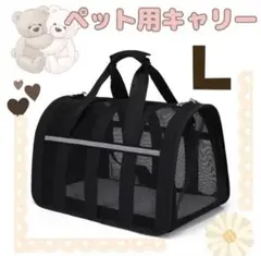 Item thumbnail for item 996407fa-56ee-48ef-8831-1235e8f38d12