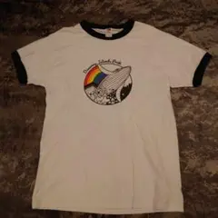FRUIT OF THE LOOM リンガーTシャツ　4481