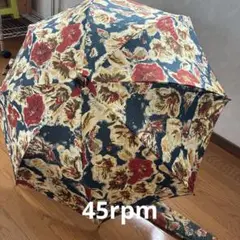 2025年最新】45rpm 傘の人気アイテム - メルカリ