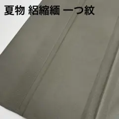 着物 夏物 正絹 絽縮緬 一つ紋 上品な色味 U-7471
