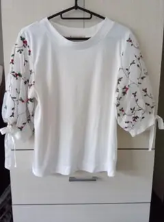 マジェスティックレゴン