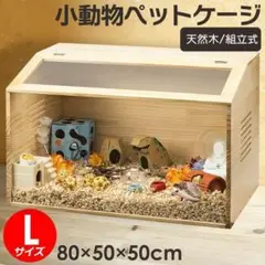 Item thumbnail for item 4c95b750-52e4-4fa3-a49c-85696031a02f