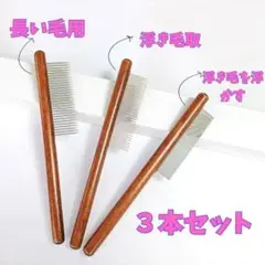 Item thumbnail for item 18b6b813-c499-4e18-a1c7-69ff1cbe19fd