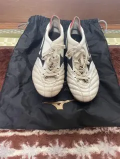 【即購入検討頂ければ値引きします】Mizuno モレリアネオ2 24.0cm