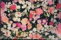 【ラス1】お部屋華やか❤︎フラワー（花）タペストリー❤︎ 薔薇　カーネーション【6】