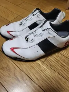 フットジョイ ゴルフシューズ FJ FOOT JOY 27センチ