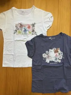 Paul & Joe ユニクロ　Tシャツ 2枚セット　150