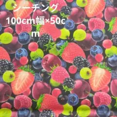 フルーツ柄 綿シーチングプリント生地 100cm幅×50cm