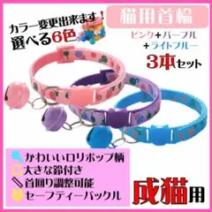 Item thumbnail for item f3e3c849-a13b-4b06-80d8-f04aff1a8c40