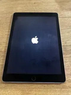 iPad Air 2 本体のみ