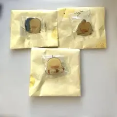 新品アヒル ピンバッジ 3個セット
