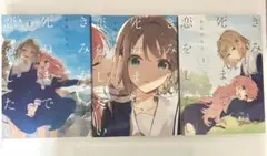 【3日間限定値下げ】きみが死ぬまで恋をしたい 1-3巻セット