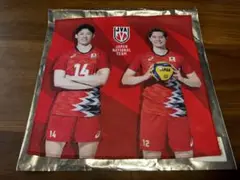 ネーションズリーグ シークレット ミニタオル 石川祐希 髙橋藍