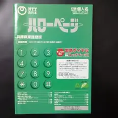 Item thumbnail for item d122ffde-b6dc-485f-b497-5d2762605e6e