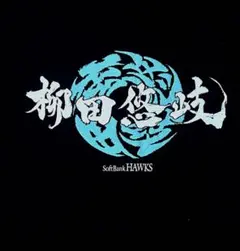 柳田悠岐　ソフトバンクホークス　漢字　tシャツ　激レア　美品　Mサイズ