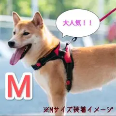 ✨最安値✨【Mサイズ】ハーネス 犬用品 レッド 赤 犬服 ペット服 簡単着脱