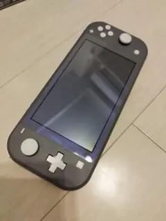 Nintendo Switch NINTENDO SWITCH LITE グ…