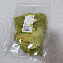 Item thumbnail for item 5dd5acda-3a14-4a25-bf73-23c76a75bbdf