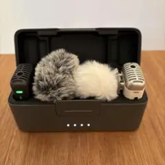 Item thumbnail for item 217d1afa-960e-4fde-9399-5997ae41acee