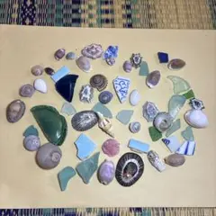 【510】シーグラス　タカラガイ　マツバガイ　ウノアシ　シー陶器　セット　ミニ