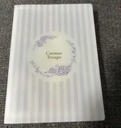宝塚歌劇団　宙組　芹香斗亜　舞台写真　まとめ売り　値下げ